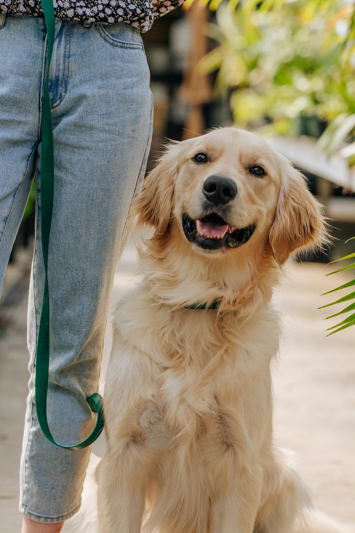 Ember Black Wide 4-in-1 Convertible Hands Free Cloud Dog Leash