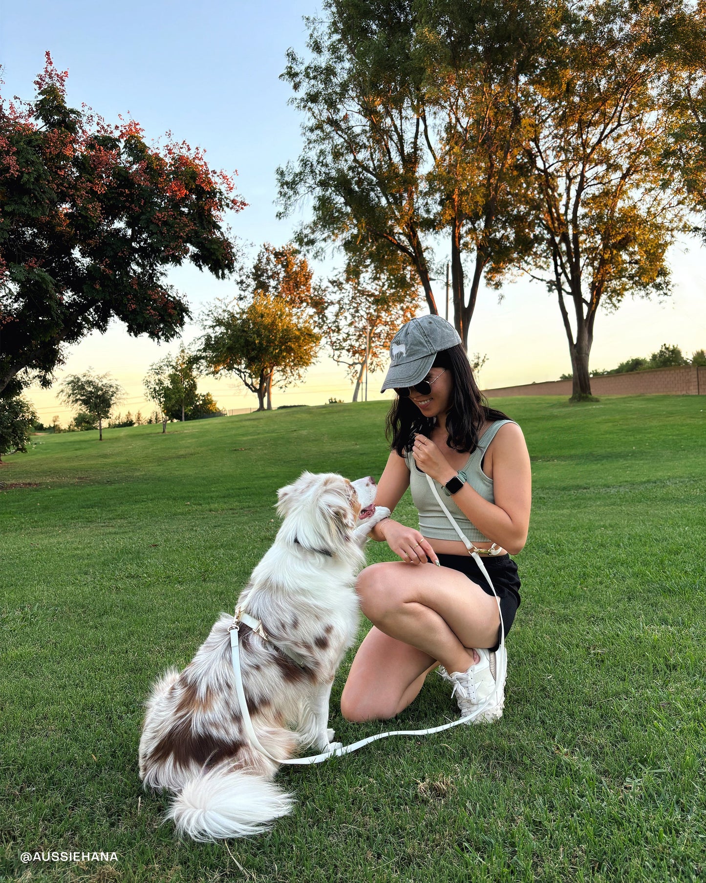 Lunar Glow 4-in-1 Convertible Hands Free Cloud Dog Leash