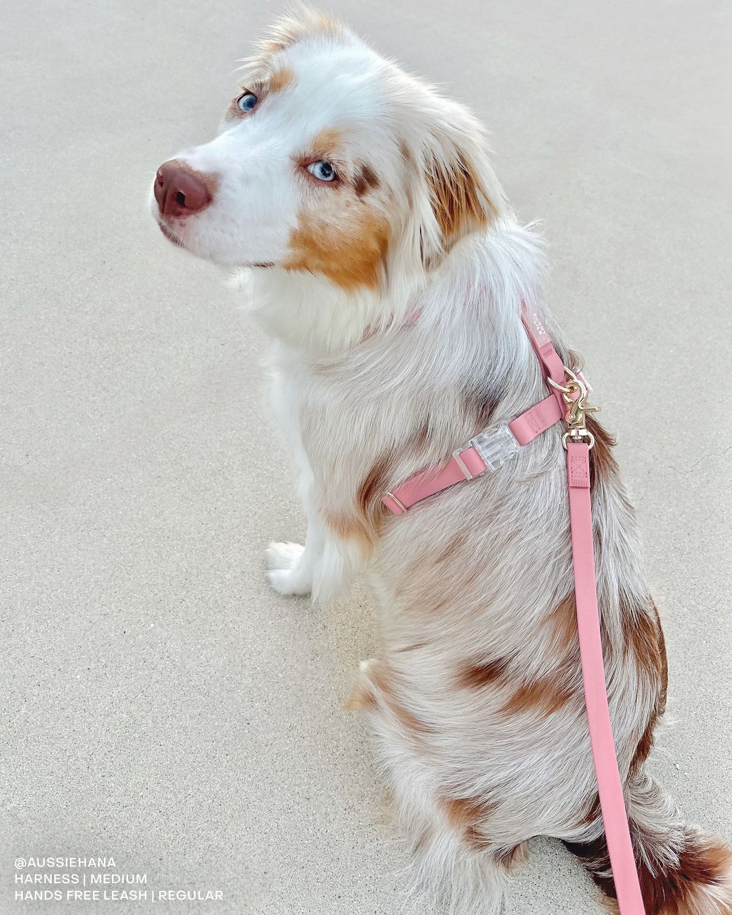 Perfect Pink Wide Twist Lock 4-in-1 Convertible Hands Free Cloud Dog Leash