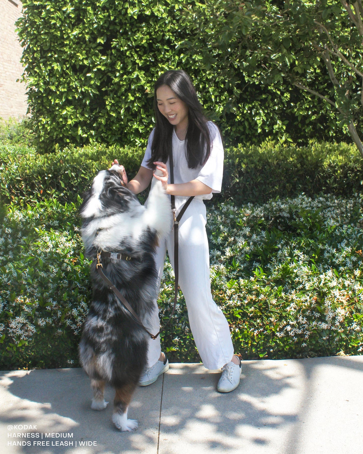 Ember Black Wide 4-in-1 Convertible Hands Free Cloud Dog Leash