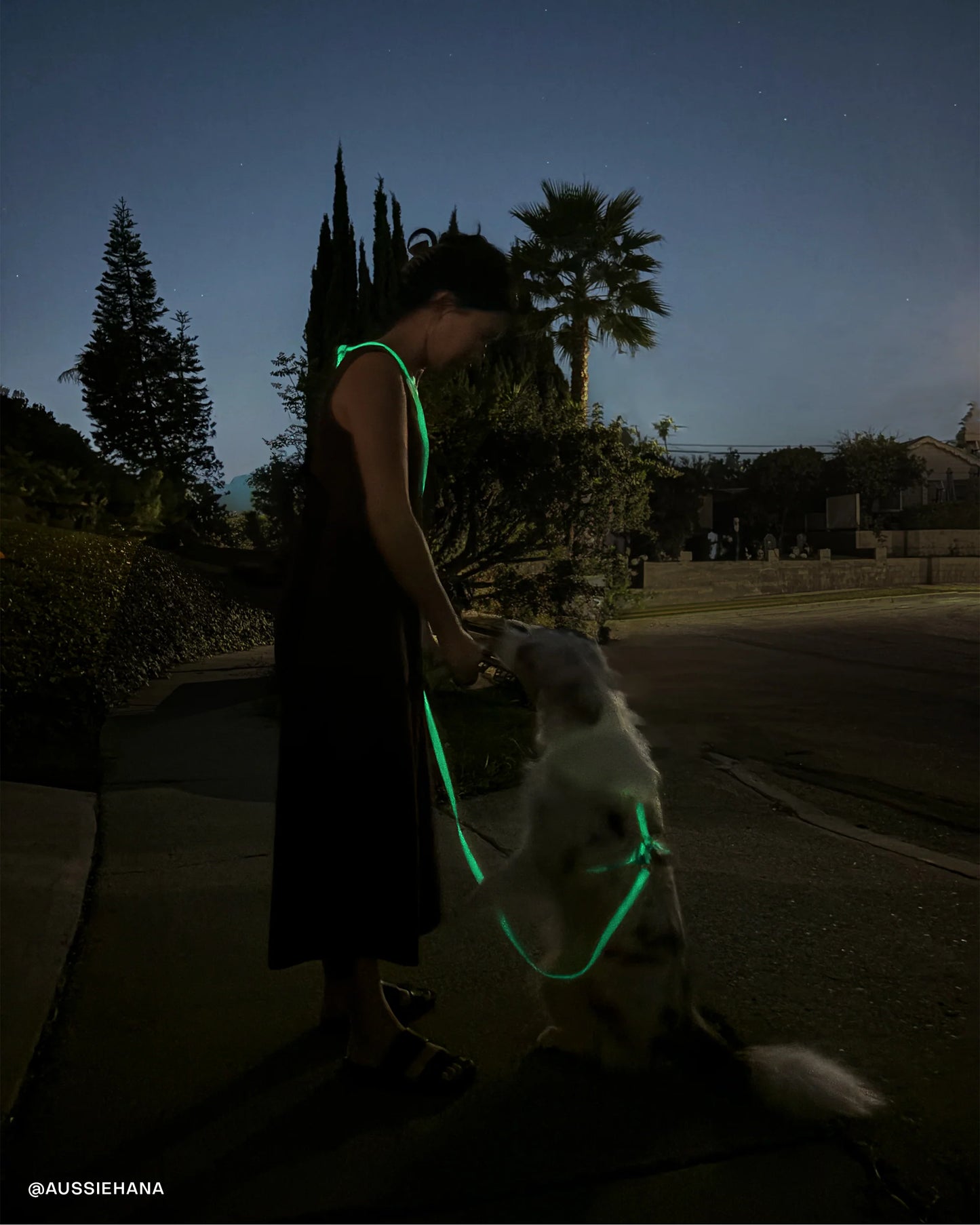 Lunar Glow 4-in-1 Convertible Hands Free Cloud Dog Leash