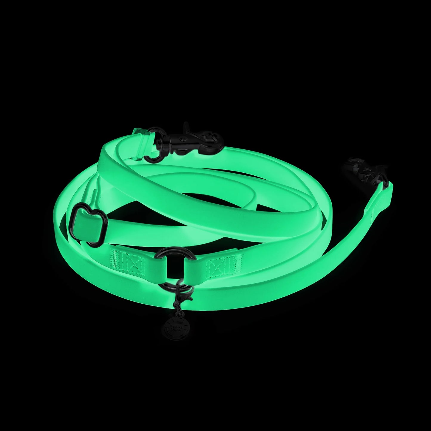 Lunar Glow 4-in-1 Convertible Hands Free Cloud Dog Leash