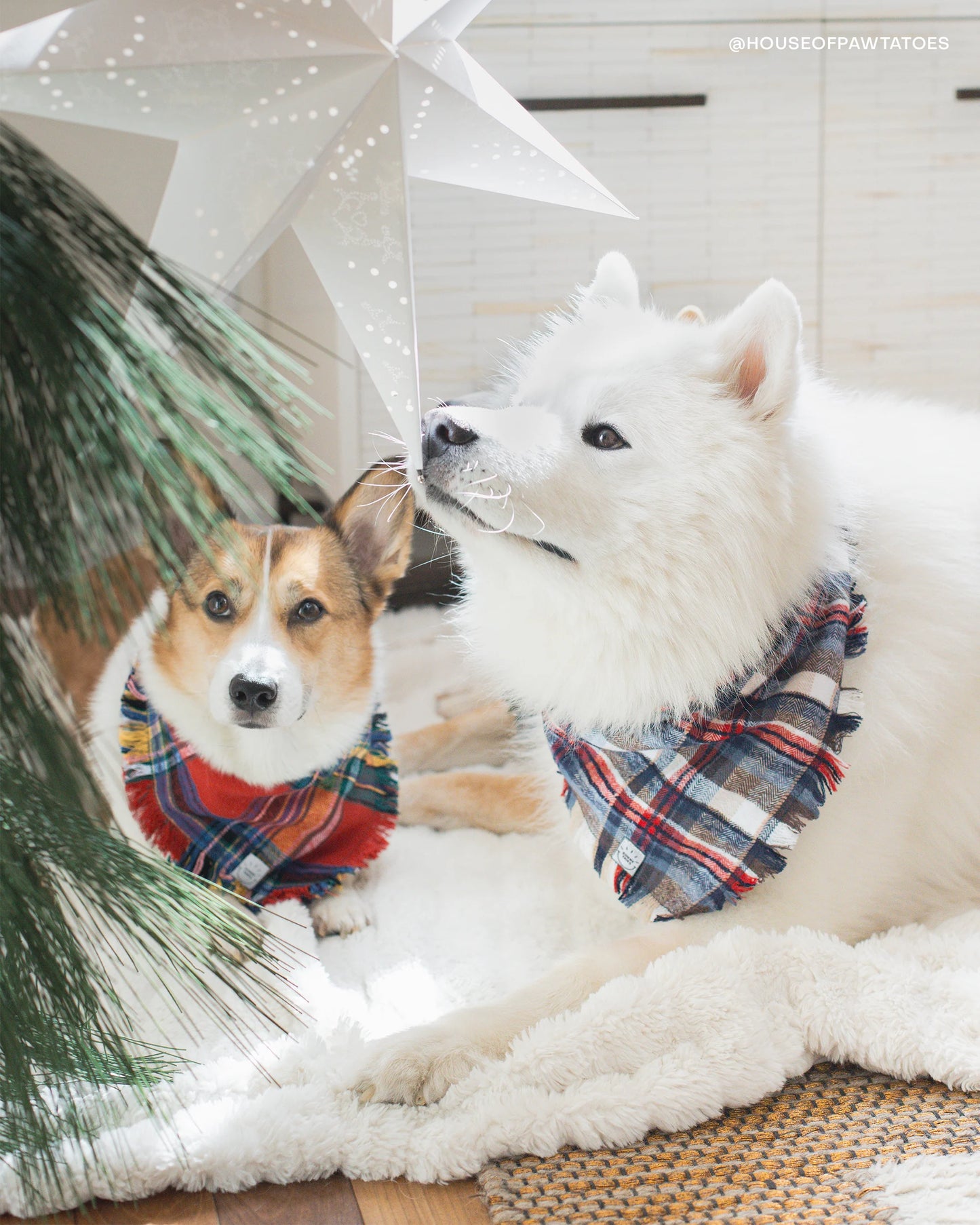 Frosted Forest Frayed Dog Bandana