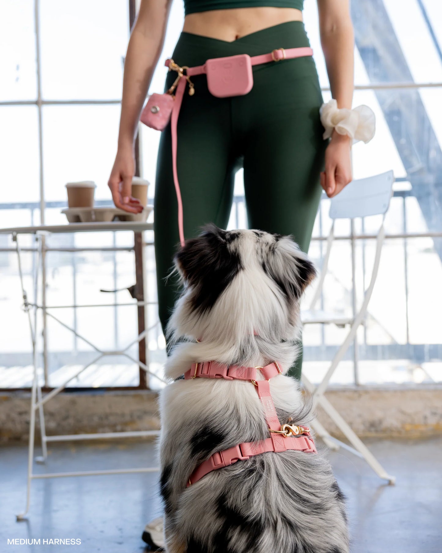 Cloud Leash Extension & Treat Pouch Bundle (Preorder Ship by 4/28)