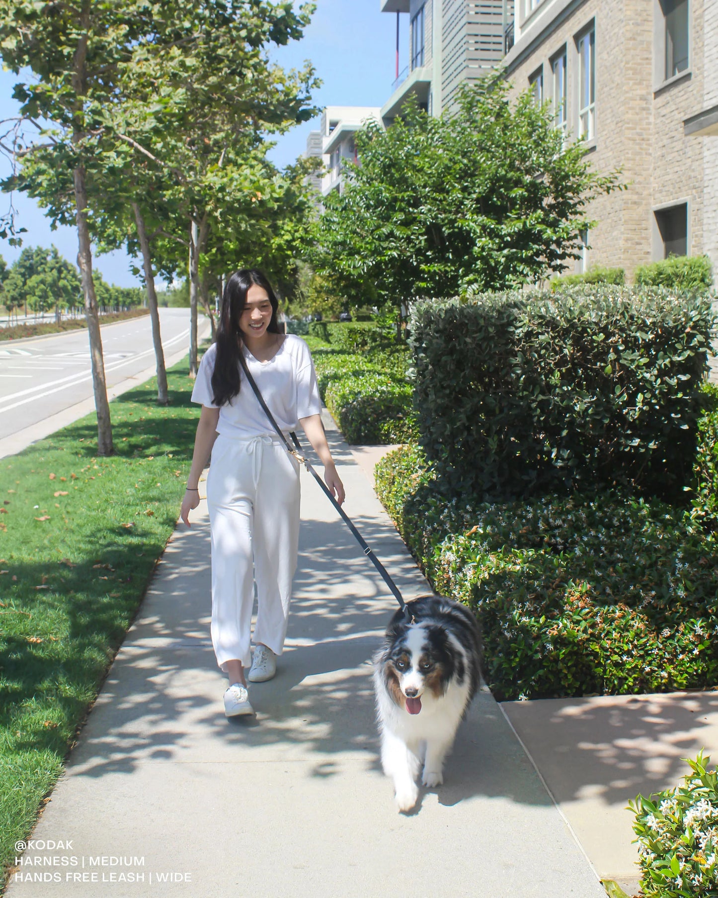 Ember Black Wide 4-in-1 Convertible Hands Free Cloud Dog Leash