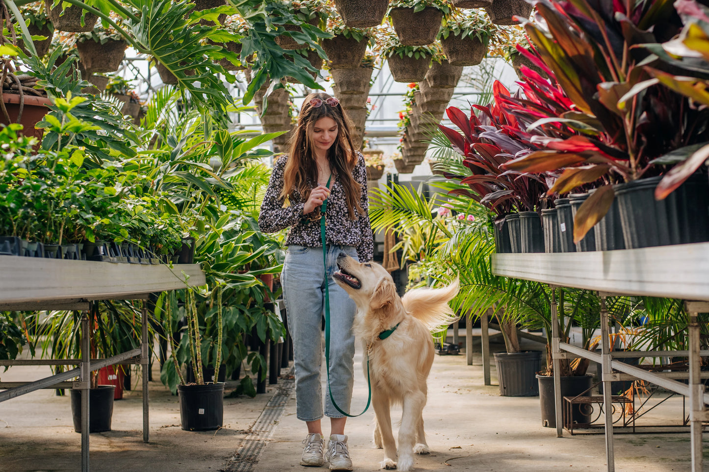 Ember Black Wide 4-in-1 Convertible Hands Free Cloud Dog Leash