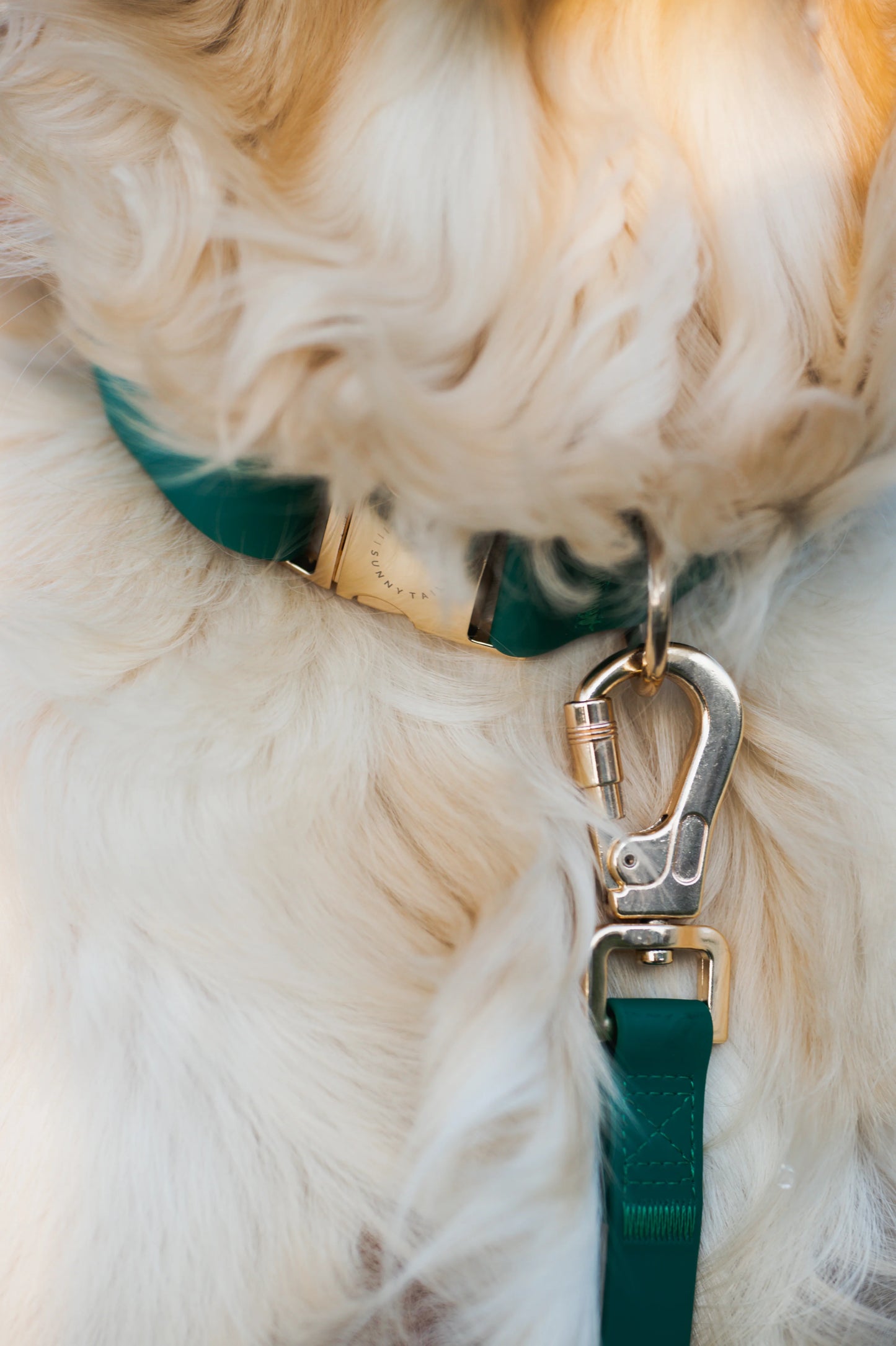 Ember Black Wide 4-in-1 Convertible Hands Free Cloud Dog Leash