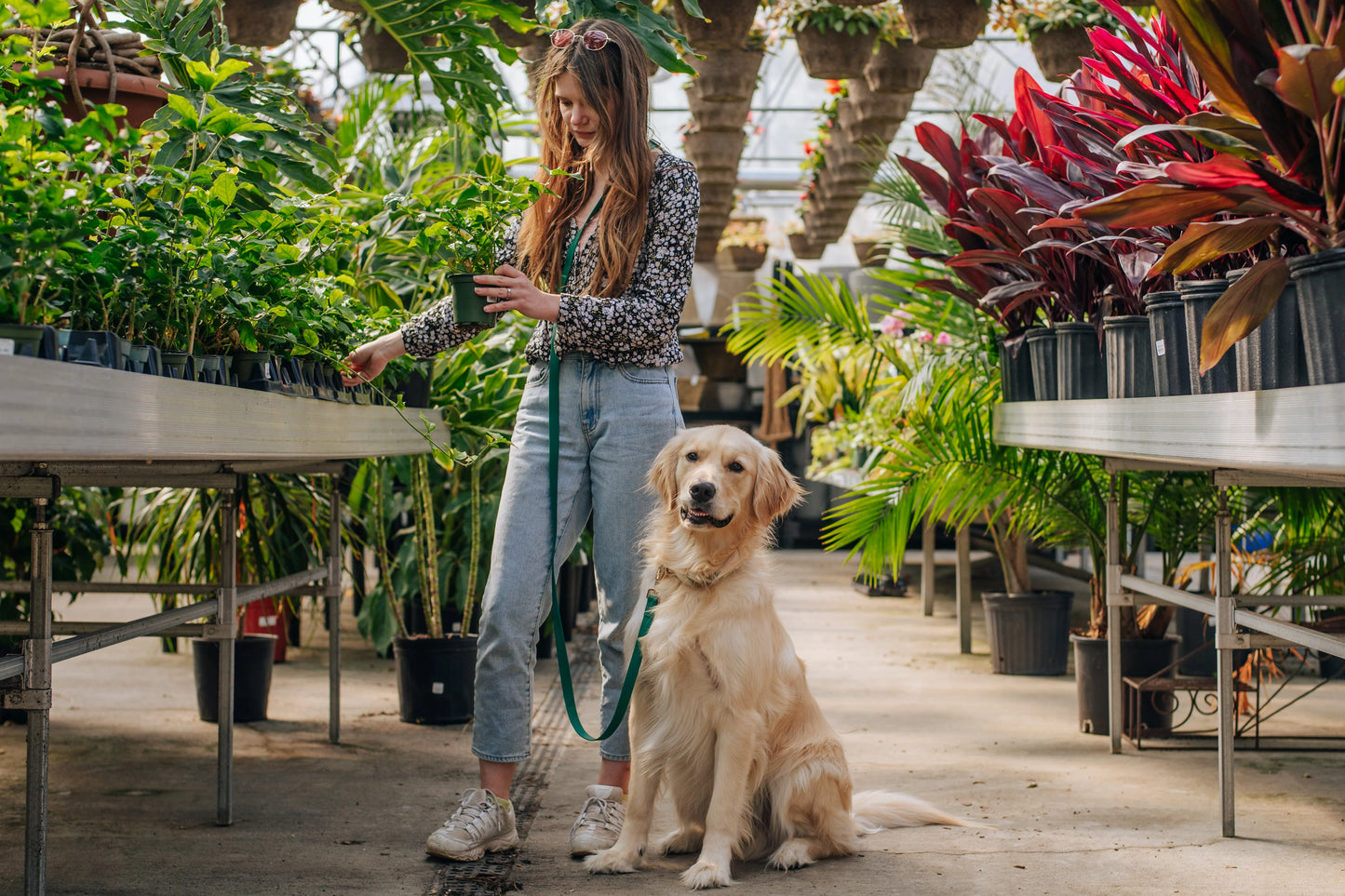 Ember Black Wide 4-in-1 Convertible Hands Free Cloud Dog Leash
