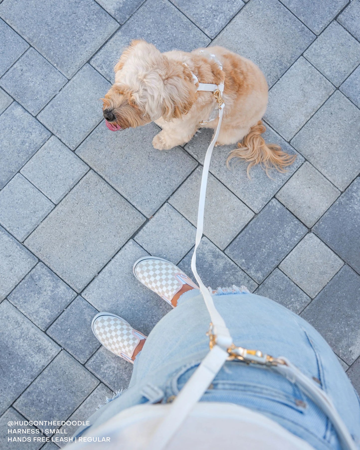 Cloud White 4-in-1 Convertible Hands Free Cloud Dog Leash