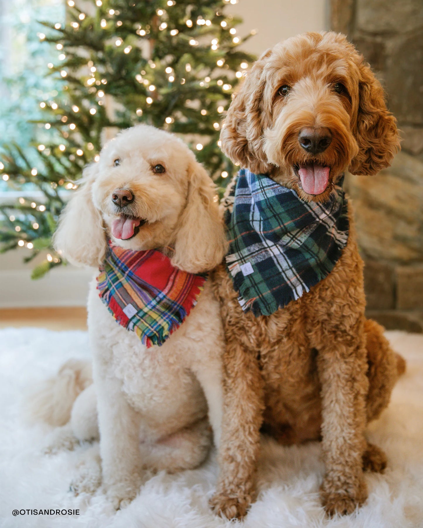 Holiday Cheer Frayed Dog Bandana