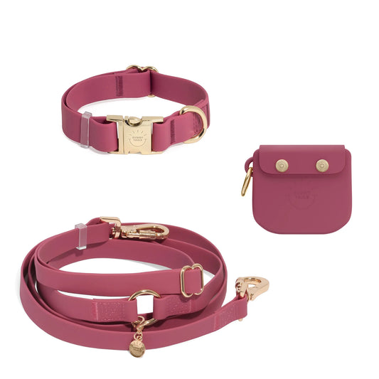 Cloud Dog Collar Treat Pouch Bundle Wide (Preorder ship by 5/5)