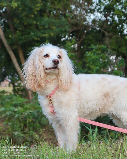 Perfect Pink Cloud Lite Dog Harness