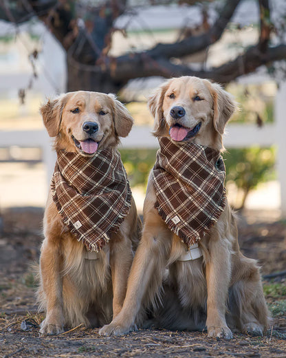 Cozy Cabin Flannel Frayed Dog Bandana