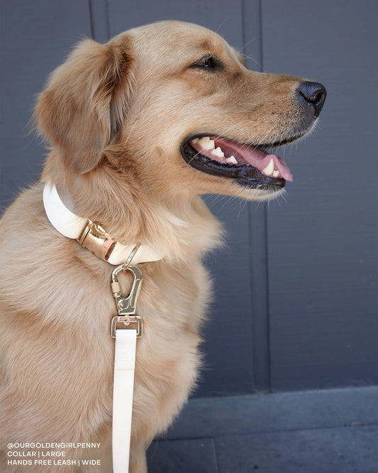 Cloud White Wide Cloud Leash 4-Way Extension