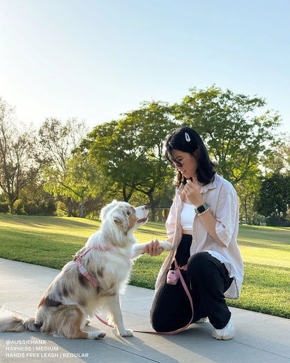 Cloud Leash Extension & Treat Pouch Bundle (Preorder Ship by 4/28)