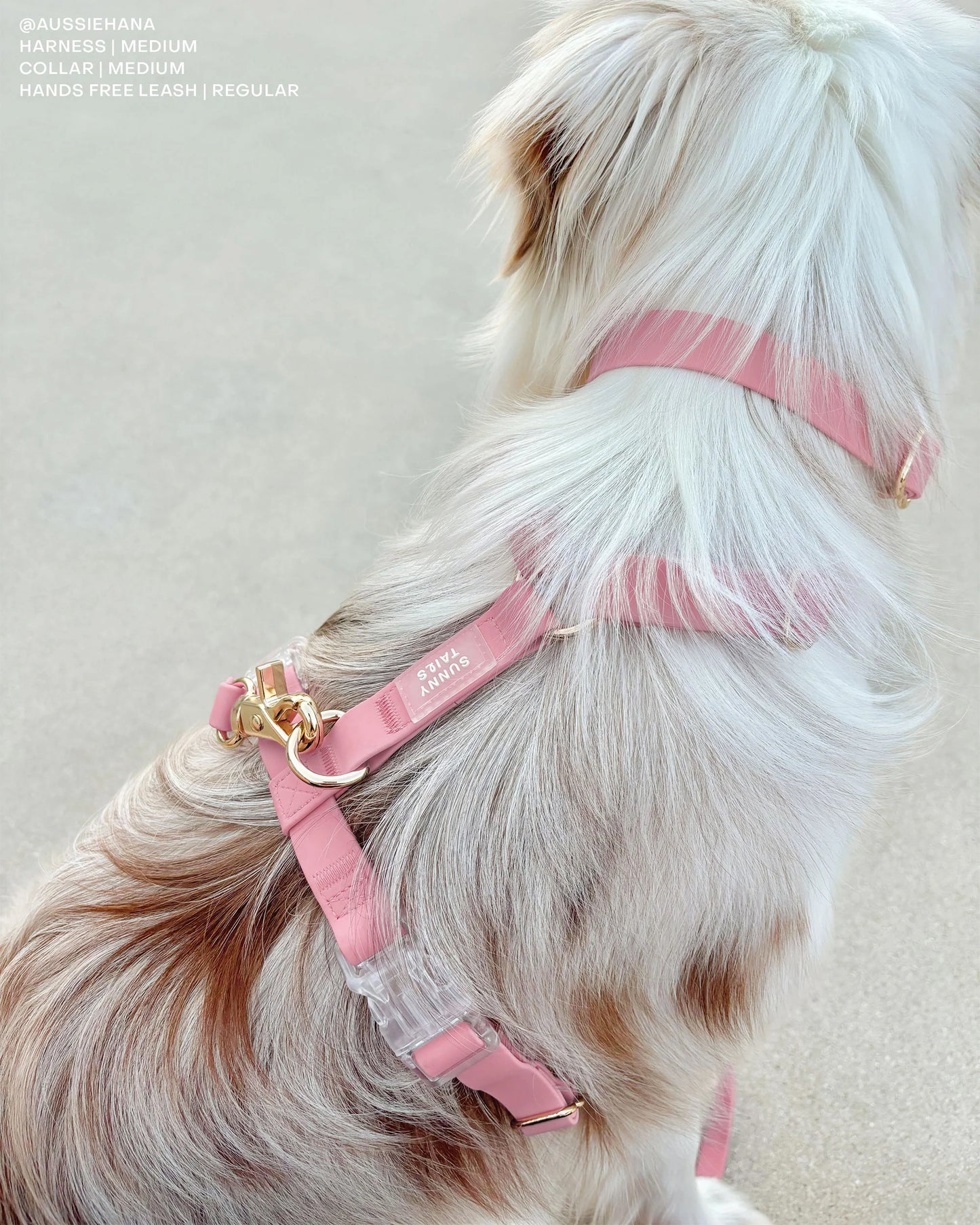 Perfect Pink Cloud Lite Dog Harness