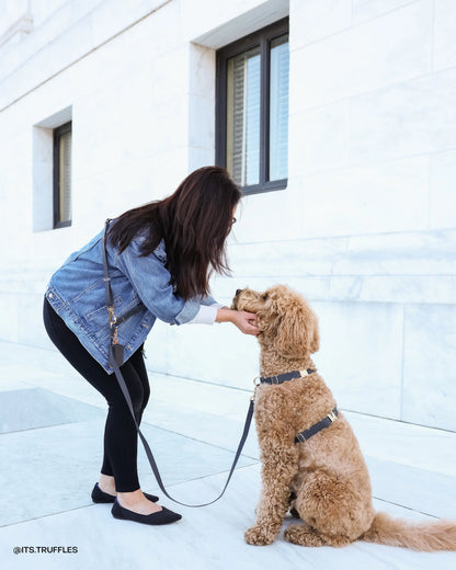 Ember Black Wide 4-in-1 Convertible Hands Free Cloud Dog Leash