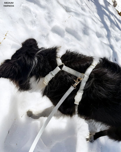 Lunar Glow 4-in-1 Convertible Hands Free Cloud Dog Leash