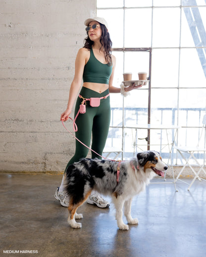 Cloud Leash Extension & Treat Pouch Bundle (Preorder Ship by 4/28)