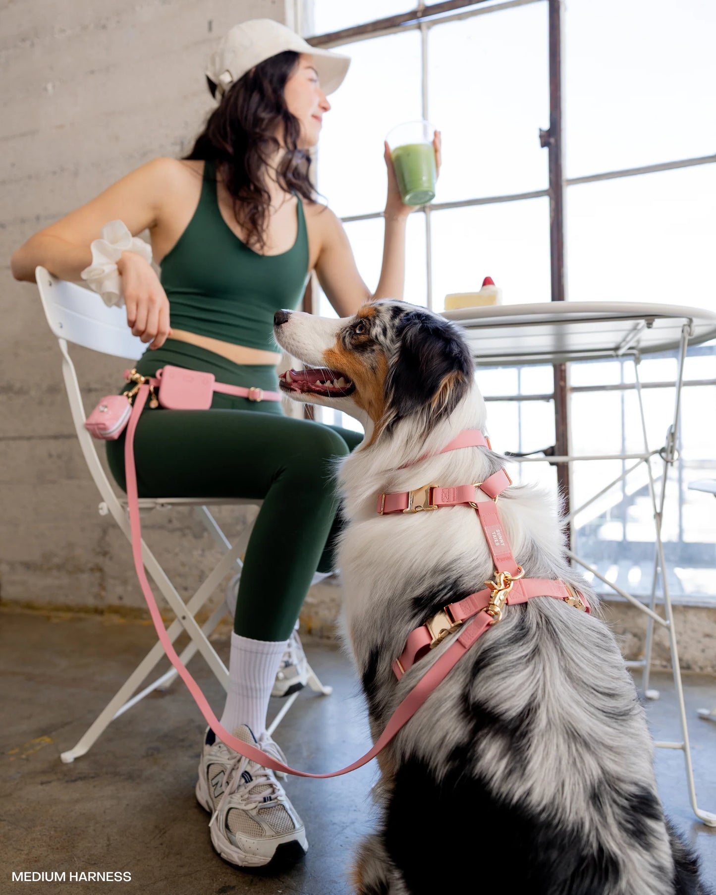 Perfect Pink Cloud Lite Dog Harness