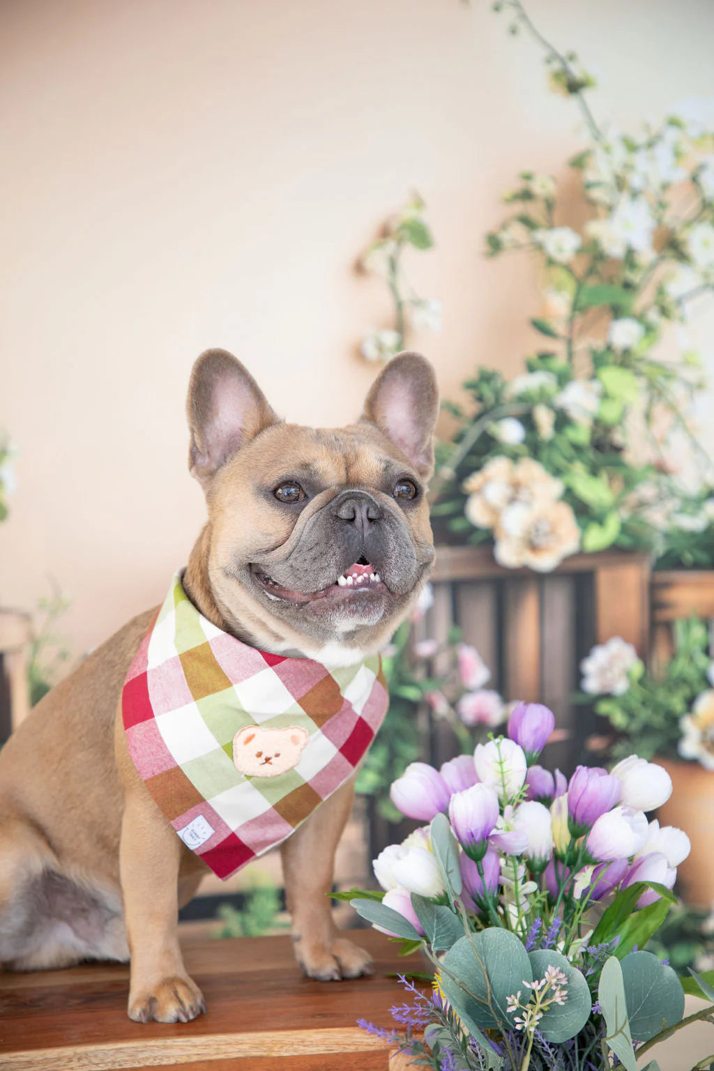 Picnic Plaid Teddy Bear Dog Bandana