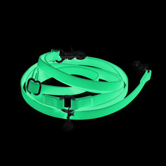 Lunar Glow 4-in-1 Convertible Hands Free Cloud Dog Leash