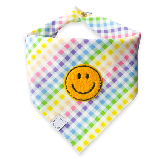 Rainbow Smiles Dog Bandana