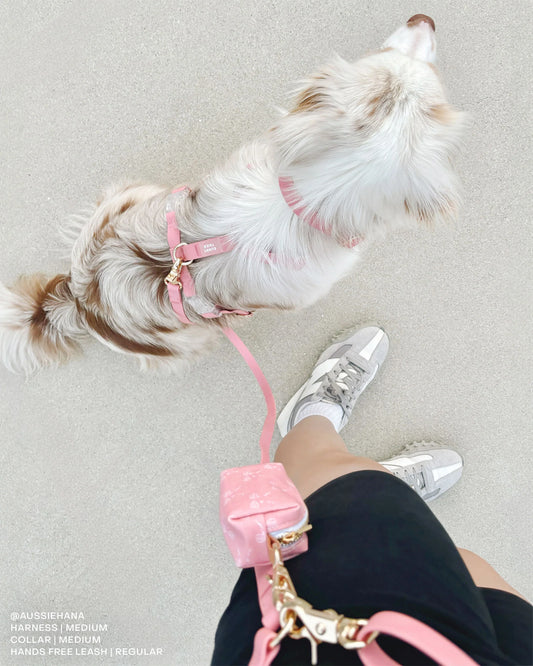 Perfect Pink Wide Cloud Leash 4-Way Extension