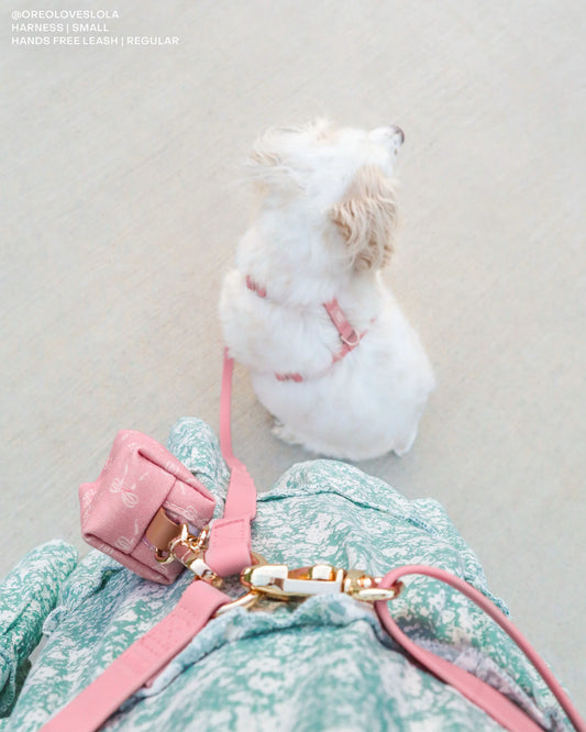 Perfect Pink Cloud Leash 4-Way Extension