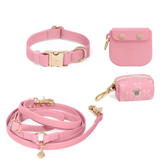 Best Sellers Collar & Treat Pouch Bundle (Preorder Ship by 4/28)