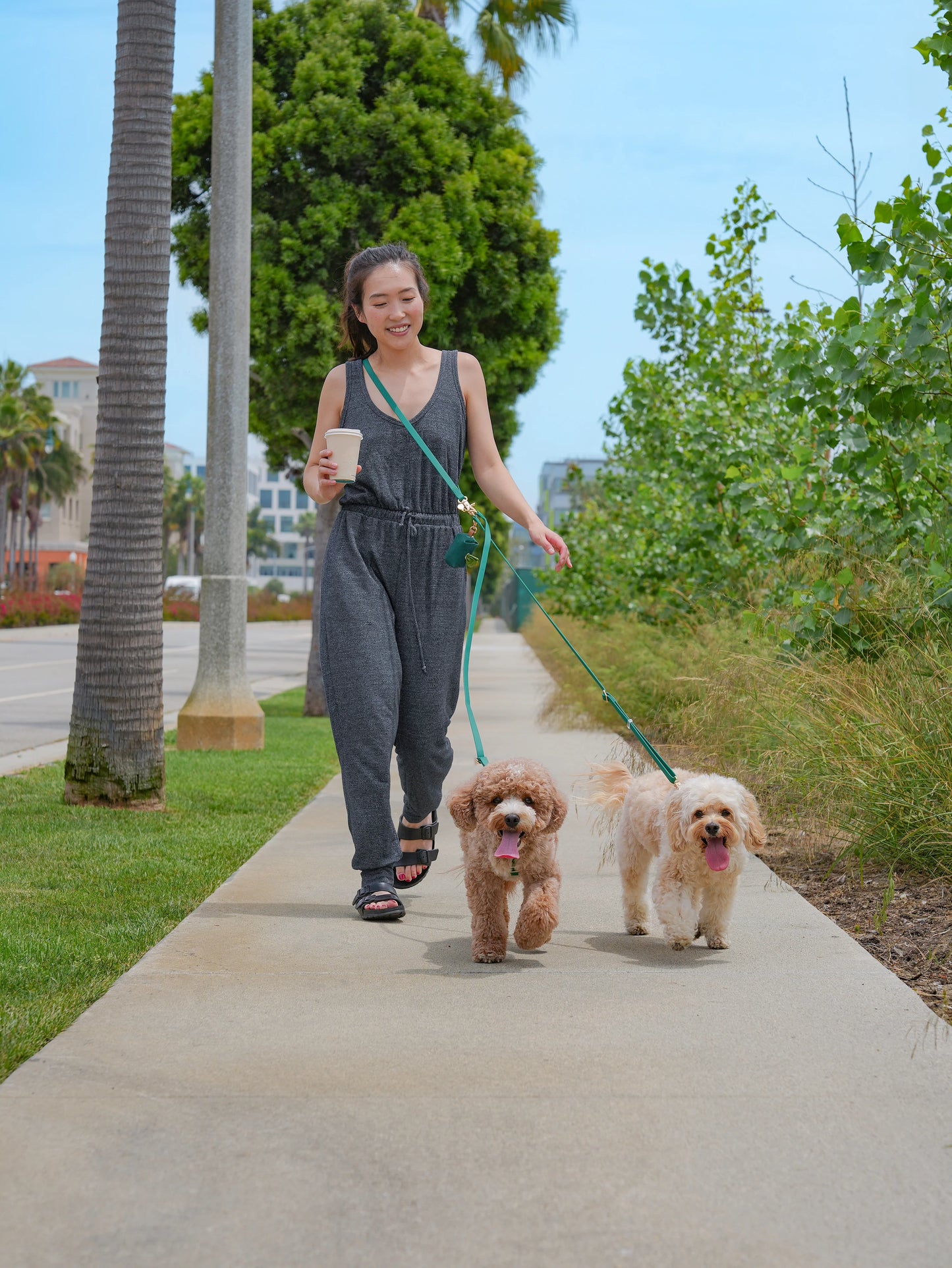 Perfect Pink Cloud Leash 4-Way Extension