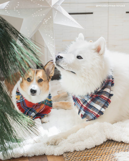 Holiday Cheer Frayed Dog Bandana