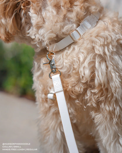 Cloud White 4-in-1 Convertible Hands Free Cloud Dog Leash