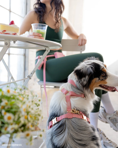Perfect Pink Cloud Lite Dog Harness