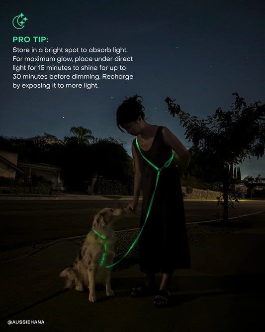 Lunar Glow 4-in-1 Convertible Hands Free Cloud Dog Leash