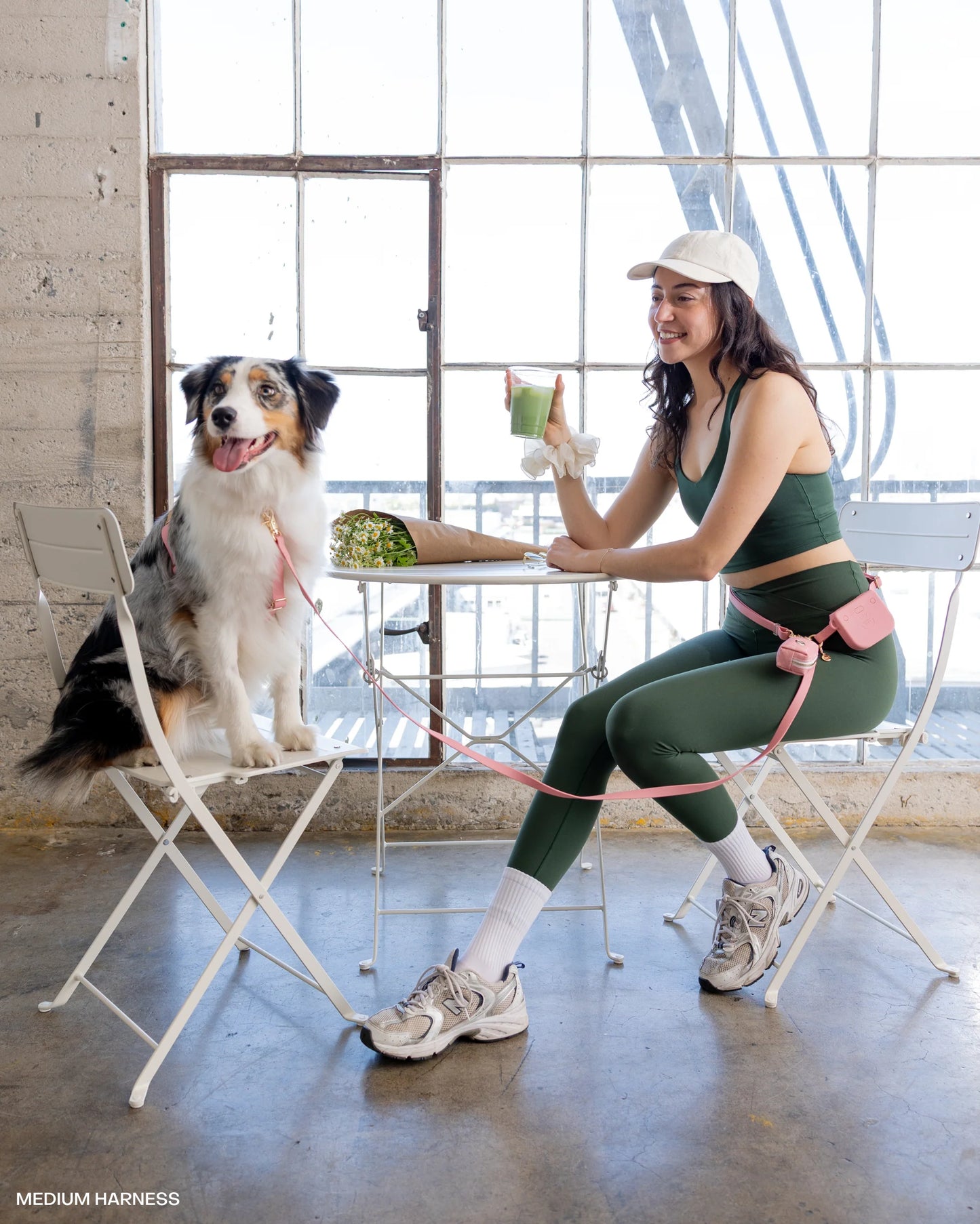 Perfect Pink Cloud Lite Dog Harness