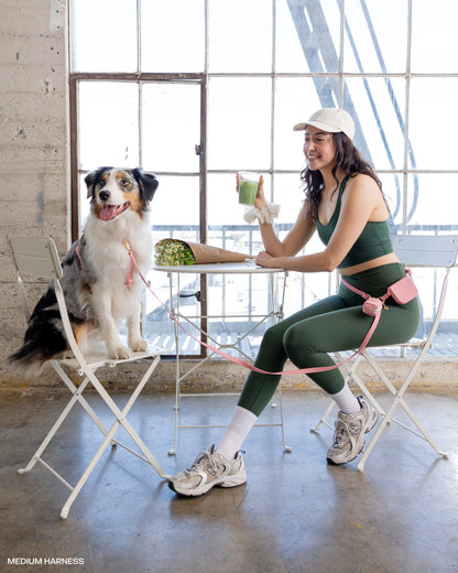 Cloud Leash Extension & Treat Pouch Bundle (Preorder Ship by 4/28)