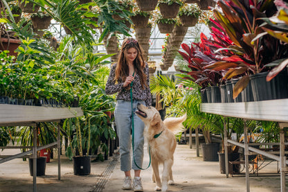 Ember Black Wide 4-in-1 Convertible Hands Free Cloud Dog Leash