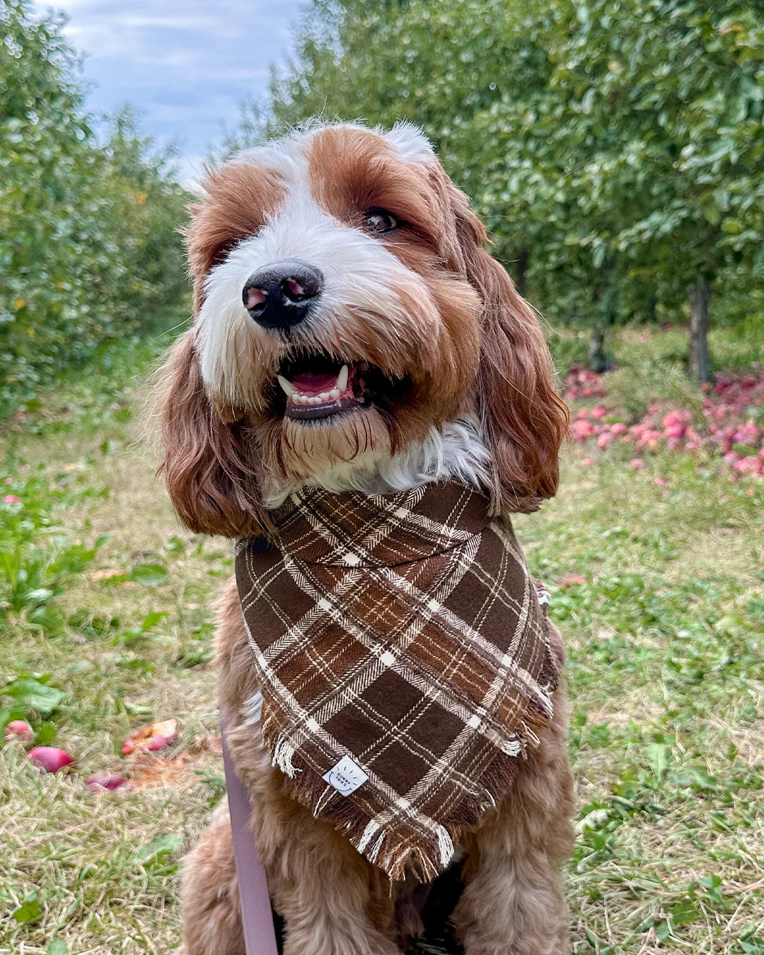 Cozy Cabin Flannel Frayed Dog Bandana