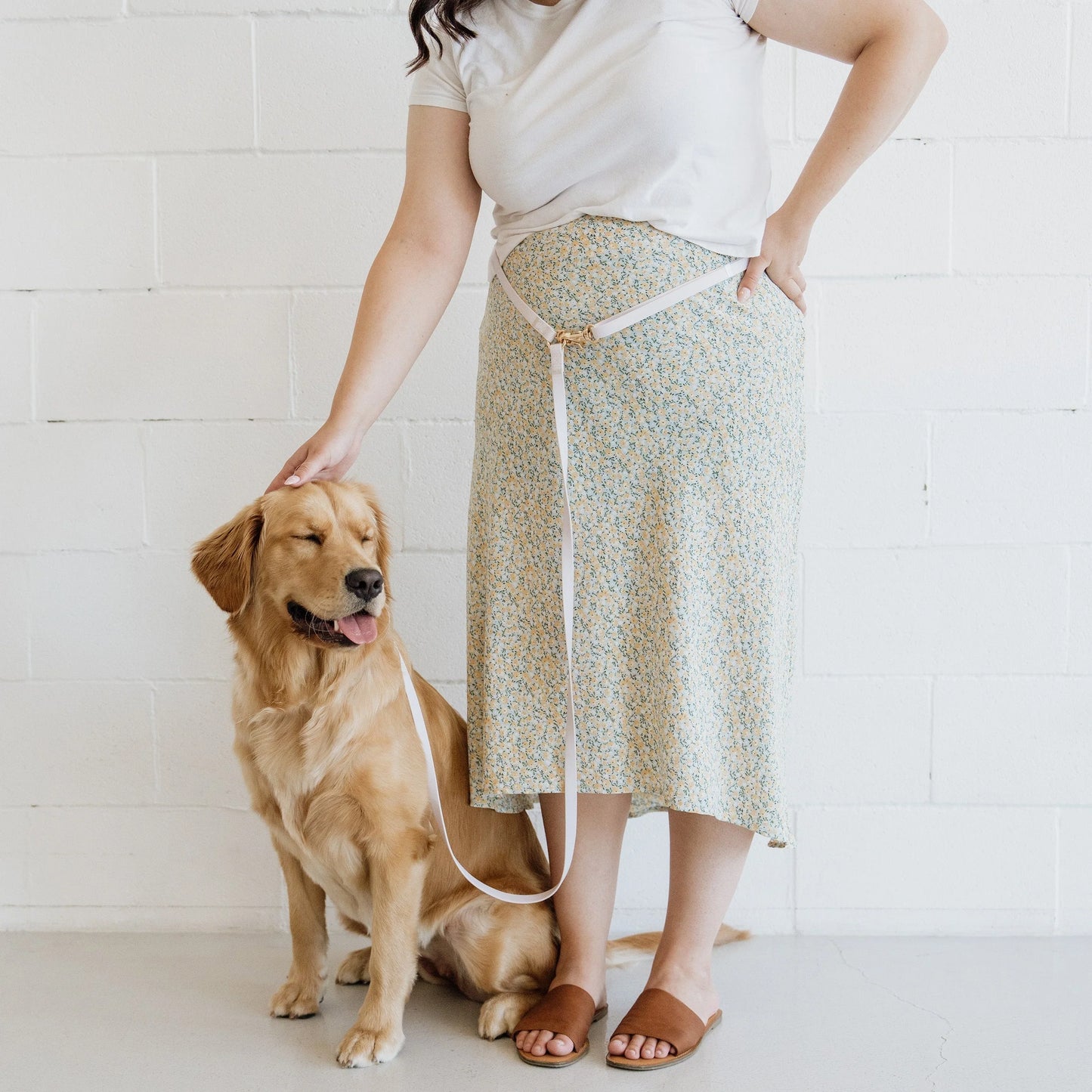 Best Sellers Collar & Treat Pouch Bundle Wide (Preorder ship by 4/30)