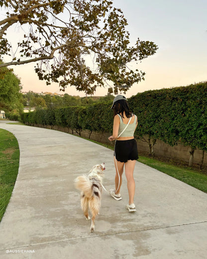 Lunar Glow 4-in-1 Convertible Hands Free Cloud Dog Leash