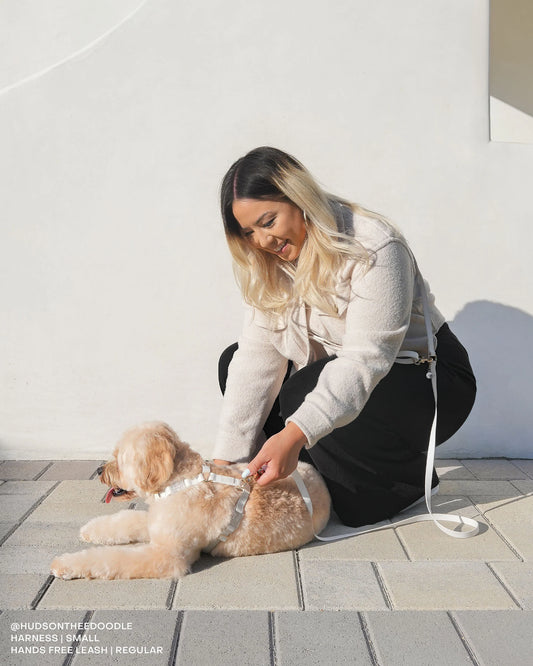 Cloud White 4-in-1 Convertible Hands Free Cloud Dog Leash