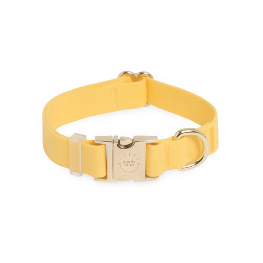 Dandelion Yellow Waterproof Dog Collar
